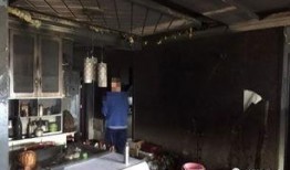 西安魏家凉皮最新爆料,独家爆料揭秘幕后故事