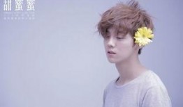 港媒爆料鹿晗视频大全,明星私生活曝光引热议”